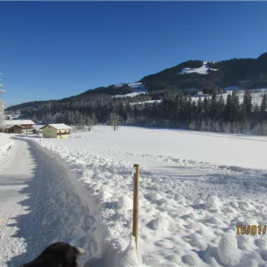 A snowy landscape with a narrow path. In the background, hills and some buildings are visible.