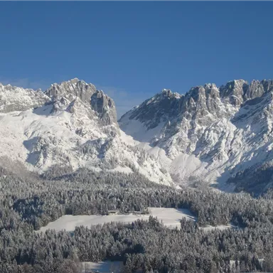 Snow-covered mountains under a clear blue sky. Below, a forest with freshly fallen snow.