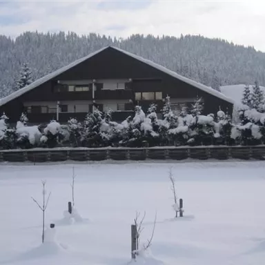A modern, black building lies in front of a snowy landscape. Surrounded by snow-covered trees and a peaceful winter atmosphere.