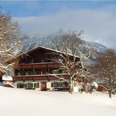 Ein schönes Chalet in der verschneiten Landschaft. Im Hintergrund sind Berge und Bäume zu sehen.