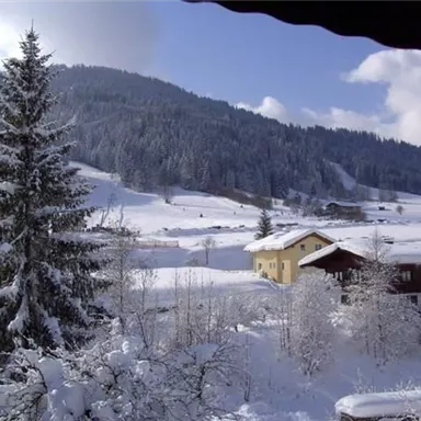 A snowy landscape with tall pine trees and gentle hills in the background. Some traditional houses are visible in the wintry scene.