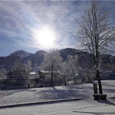 A winter landscape with snow-covered trees and gentle hills in the background. The sun shines over the scene, creating a clear, bright atmosphere.