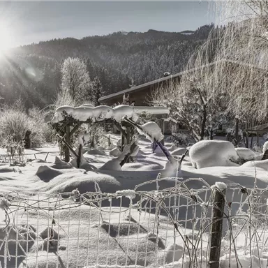 A winter landscape with snow-covered trees and a serene garden. In the background, there are mountains and the sun shines through the cold.