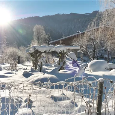 A snowy landscape with sun rays shining through the trees. In the background, snow-covered houses and a peaceful winter atmosphere can be seen.