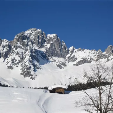 Eine schneebedeckte Landschaft mit hohen Bergen im Hintergrund. Der klare blaue Himmel vervollständigt die winterliche Szenerie.