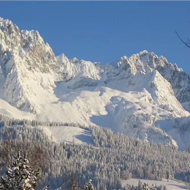Eine schneebedeckte Berglandschaft unter klarem blauen Himmel. Die majestätischen Gipfel erheben sich über die bewaldeten Hänge.