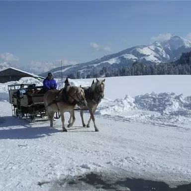 Eine Pferdeschlittenfahrt durch eine schneebedeckte Landschaft. Im Hintergrund sind Berge und ein blauer Himmel zu sehen.