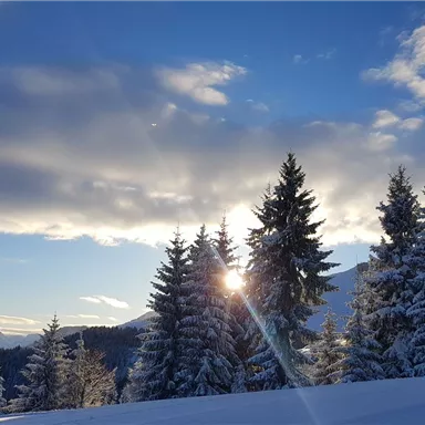 Eine winterliche Landschaft mit schneebedeckten Tannen und einem strahlenden Sonnenlicht. Der Himmel ist klar und zeigt eine Mischung aus Wolken und Blau.