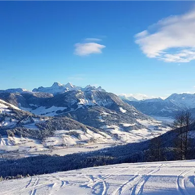 Eine malerische Winterlandschaft mit schneebedeckten Bergen und klarem blauen Himmel. Die sanften Hügel und Bäume verleihen der Szene eine ruhige Atmosphäre.