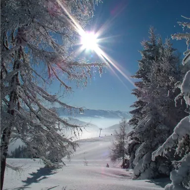 A beautiful winter landscape with snow-covered trees and bright sunshine. Snow-covered mountains can be seen in the background.