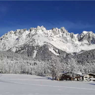 Eine beeindruckende Berglandschaft mit schneebedeckten Gipfeln und einem klaren blauen Himmel. Im Vordergrund sind verschneite Bäume und ein gemütliches Holzhaus zu sehen.