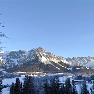 Eine verschneite Berglandschaft mit hohen Gipfeln und klarem Himmel. Im Vordergrund sind Bäume und eine friedliche Winteratmosphäre zu sehen.