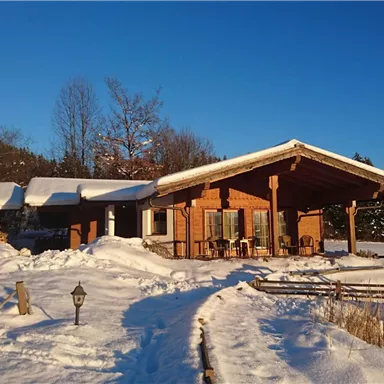 A cozy wooden house in the snow with a clear blue sky. The path to the house is lined with snow and trees.