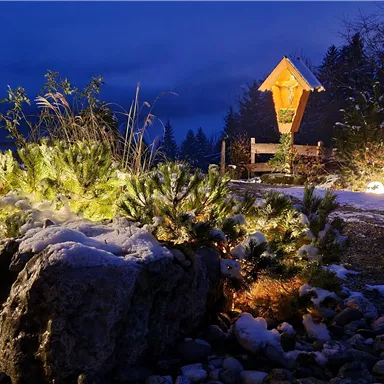 Eine winterliche Landschaft bei Nacht, mit einem beleuchteten Vogelhaus und Schnee auf den Pflanzen. Steine liegen im Vordergrund, während im Hintergrund Bäume sichtbar sind.