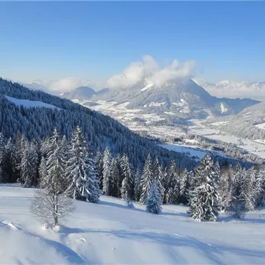Eine winterliche Berglandschaft mit schneebedeckten Bäumen und sanften Hügeln. Der Himmel ist klar und blau, und die Berge sind teilweise von Wolken umgeben.