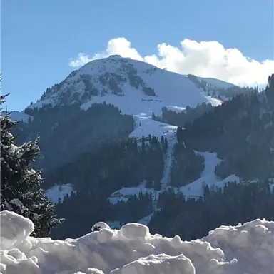 A snow-covered mountain under a clear blue sky. Fresh snow lies in the foreground.