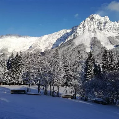 Eine winterliche Landschaft mit schneebedeckten Bergen und Bäumen. Der klare blaue Himmel sorgt für eine helle und fröhliche Atmosphäre.