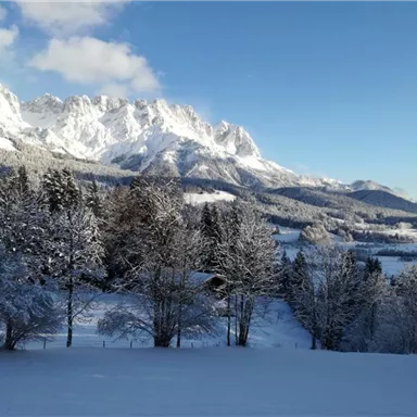 Eine winterliche Landschaft mit schneebedeckten Bergen und Bäumen. Der Himmel ist klar und strahlt in blauem Licht.