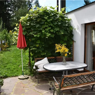 Ein gemütlicher Außenbereich mit einem Tisch und Bänken, umgeben von Pflanzen. Im Hintergrund steht ein roter Sonnenschirm und der Blick auf eine grüne Wiese ist sichtbar.