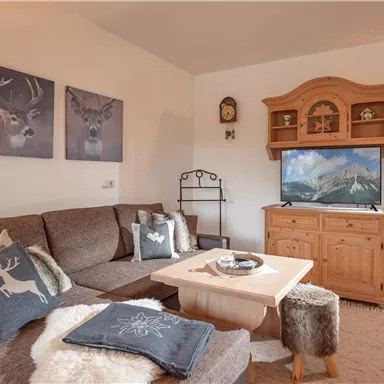 A cozy living room with a gray sofa, wooden cabinet, and television. There are decorations with deer motifs and an inviting atmosphere.