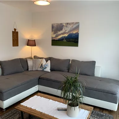 A modern living room with a large gray couch and a wooden table. A picture hangs on the wall, and a plant stands next to the couch.