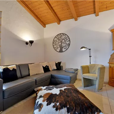 Ein gemütliches Wohnzimmer mit einem grauen Sofa, einem Sessel und einem Holzofen. Die Holzdecke und die Fenster sorgen für ein warmes Ambiente.