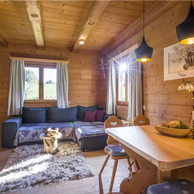 Ein gemütliches Holzhaus mit einer hellen, einladenden Atmosphäre. Im Raum befinden sich eine Essecke, ein Sofa und viel Tageslicht.