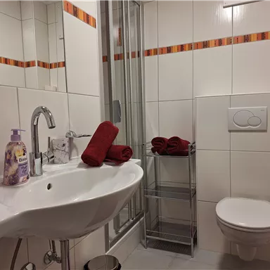 A modern bathroom with a sink, a shower, and a toilet. Red towels are neatly arranged on a shelf.