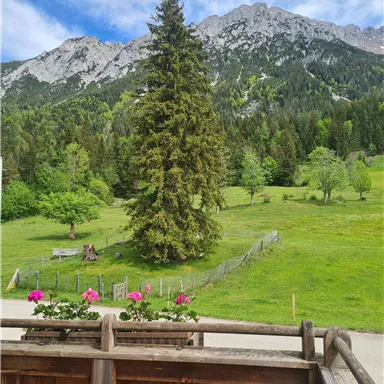 Eine malerische Landschaft mit einem hohen Baum und sanften grünen Wiesen. Im Hintergrund sind hohe Berge und ein blauer Himmel zu sehen.