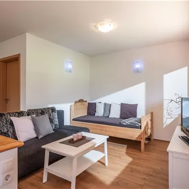 A modern living room with a comfortable gray couch and a daybed. Large windows provide plenty of daylight and a bright atmosphere.