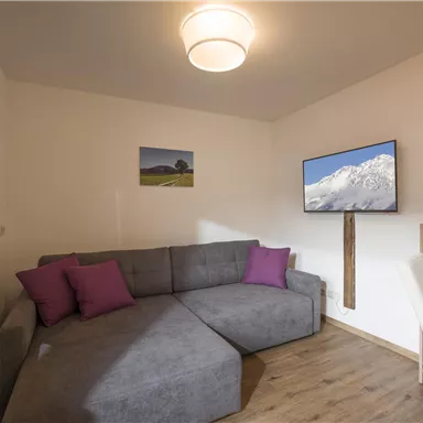 A cozy living room with a gray sofa and purple pillows. A television and a picture of a mountain landscape hang on the wall.