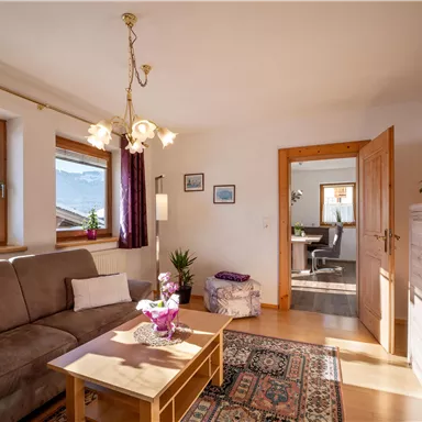 A cozy living room with a brown couch and a wooden table. Sunlight streams through the windows and there are plants in the room.