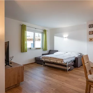 A modern living room with a sofa bed and a large window. The room is bright and friendly with wooden flooring and minimalist decor.