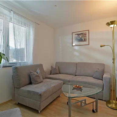 A cozy living room with a bright sofa and a glass table. A plant adds a touch of green and large windows provide plenty of daylight.
