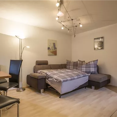 Eine moderne Wohnung mit einem gemütlichen Sofa und einem Essbereich. Der Raum hat helle Wände und eine angenehme Beleuchtung.
