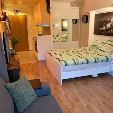 A cozy studio apartment with a comfortable bed, a sofa area, and a kitchenette. The walls are light, and there is appealing decor.