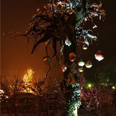 A decorated tree on a winter night. Snow covers the branches, and colorful Christmas ornaments hang from it.