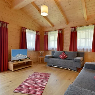 A cozy living room with wood paneling and large windows. There is a sofa, a television, and a carpet on the wooden floor.