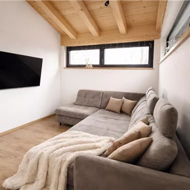 Ein modernes Wohnzimmer mit einem bequemen grauen Sofa und einer Holzdecke. Große Fenster lassen viel Tageslicht herein.