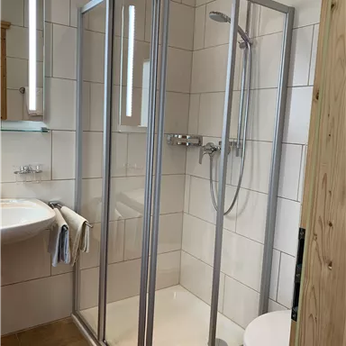 Eine moderne Dusche mit Glasabtrennung in einem hellen Badezimmer. Neben der Dusche befindet sich ein Waschbecken und eine Toilette.