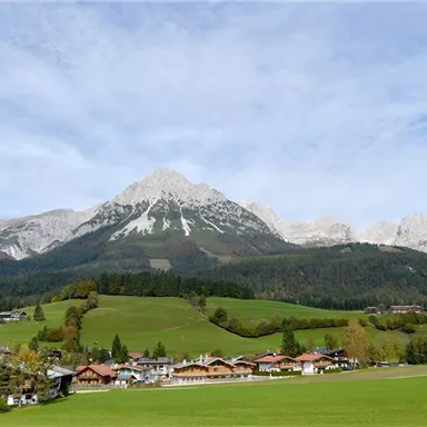 Eine malerische Landschaft mit grünen Wiesen und einem kleinen Dorf. Im Hintergrund ragen beeindruckende Berge gegen den klaren Himmel.