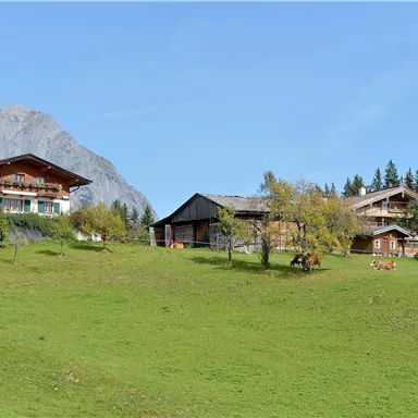 A picturesque landscape with traditional farmhouses and green meadows. In the background, mountains and trees can be seen.