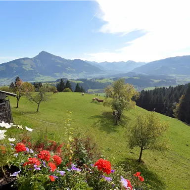 A picturesque view of a green meadow with horses and mountains in the background. Colorful flowers bloom in the foreground.