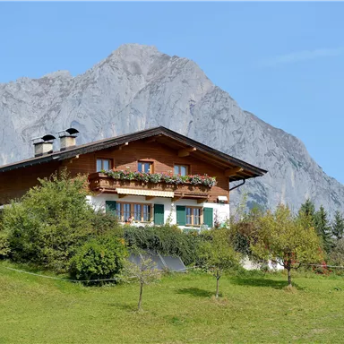 A typical alpine house with a balcony and flowers. In the background, majestic mountains rise under a clear sky.