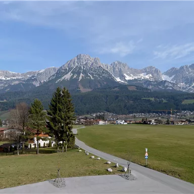 Eine wunderschöne Berglandschaft mit schneebedeckten Gipfeln und einer grünen Wiese. Im Vordergrund sind Bäume und ein Weg sichtbar.