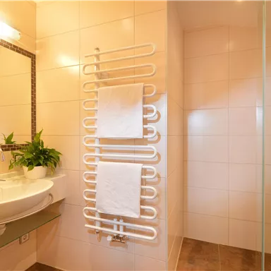 Ein modernes Badezimmer mit einer Dusche und einem eleganten Waschbecken. Handtücher hängen an einem stylischen Handtuchheizkörper.