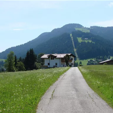 Eine ruhige Landschaft mit einem Weg, der zu einem Haus führt. Im Hintergrund erheben sich grüne Berge unter einem klaren blauen Himmel.