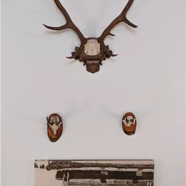 Ein Wandkunstwerk mit einem Geweih und zwei kleinen Trophäen darunter. Darunter befindet sich ein Schwarz-Weiß-Foto von drei Personen und einem Hund.