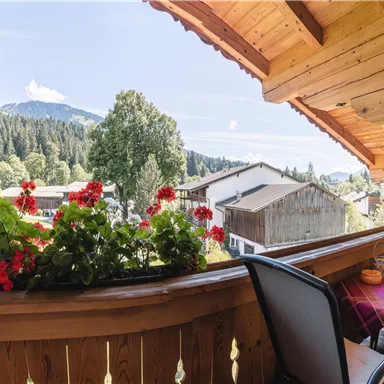 Eine gemütliche Terrasse mit roten Geranienblumen und Blick auf die Berge. Die Umgebung ist ruhig und idyllisch, ideal zum Entspannen.