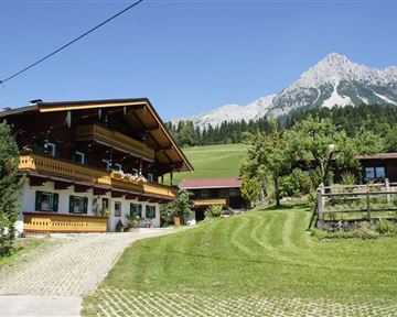 Ein traditionelles Chalet mit Balkonen in einer malerischen Berglandschaft. Im Hintergrund ragt ein majestätischer Gipfel über grüne Wiesen und Bäume.